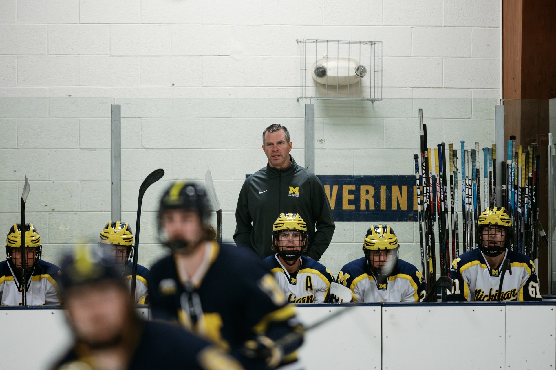 Wolverines Appoint Rick DeSana to Lead Men's Ice Hockey Program