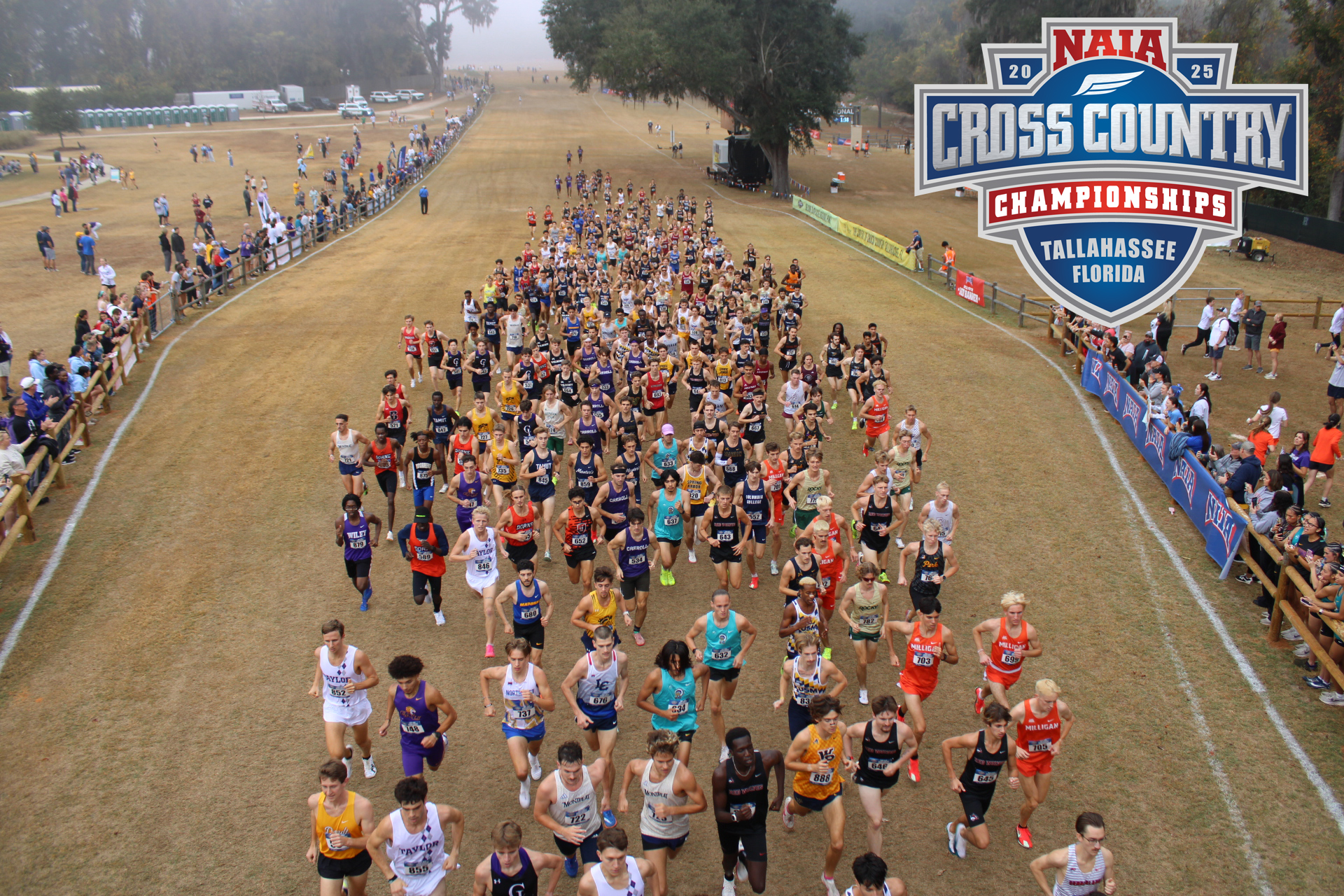Ensaad Earns All-American, Madonna 11th at NAIA Men's Cross Country Nationals