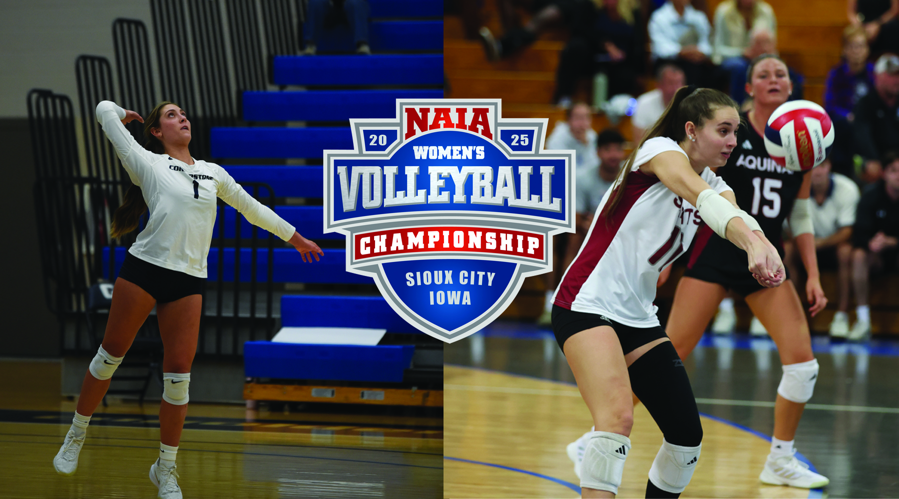 Aquinas and Cornerstone End Season in NAIA Pool Play