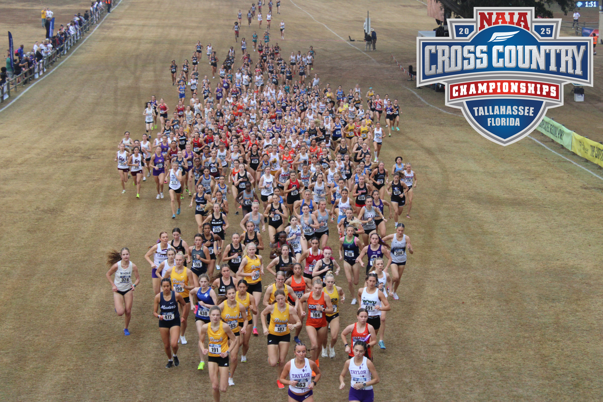 Nel, Moore and Rempalski Named All-Americans, Cornerstone 7th at NAIA Nationals